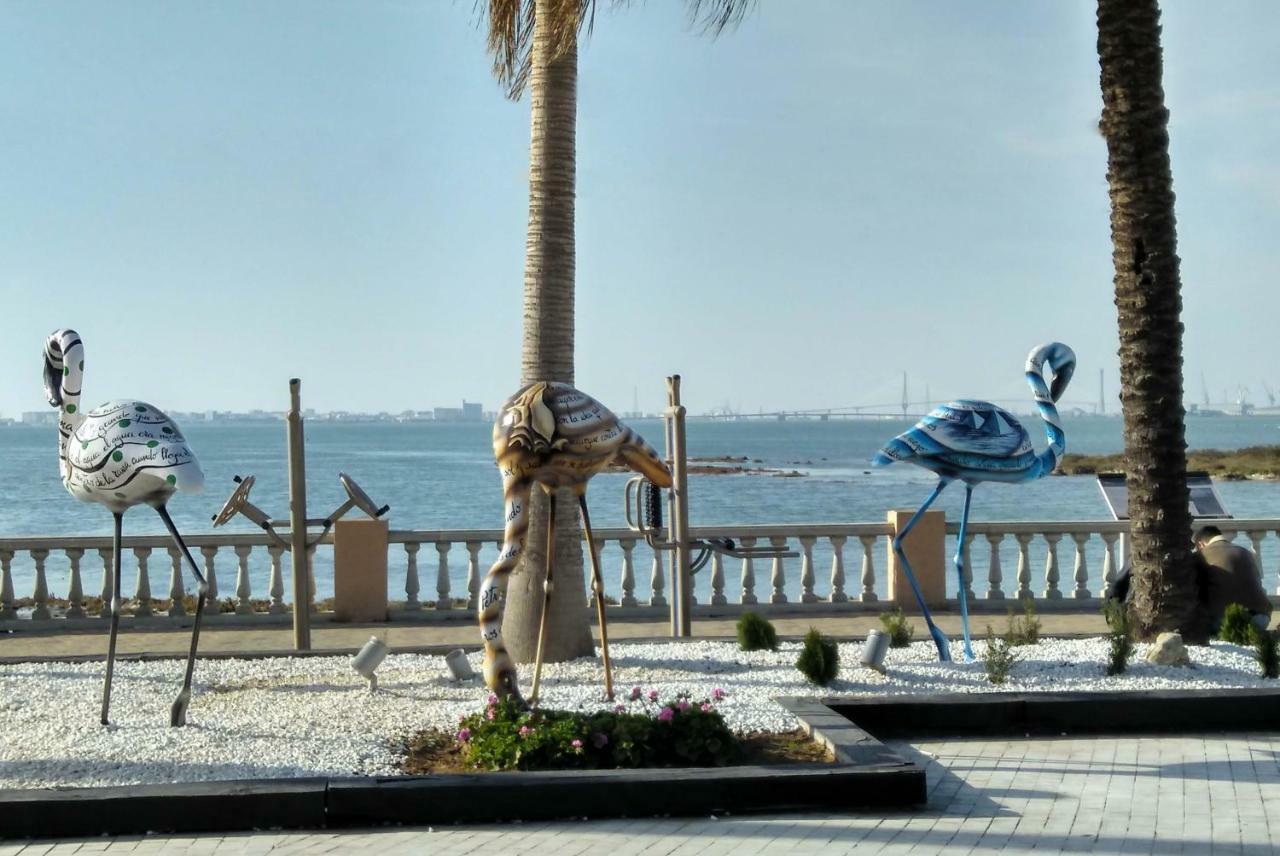 Vacacional Brisas Del Mar Apartamento *